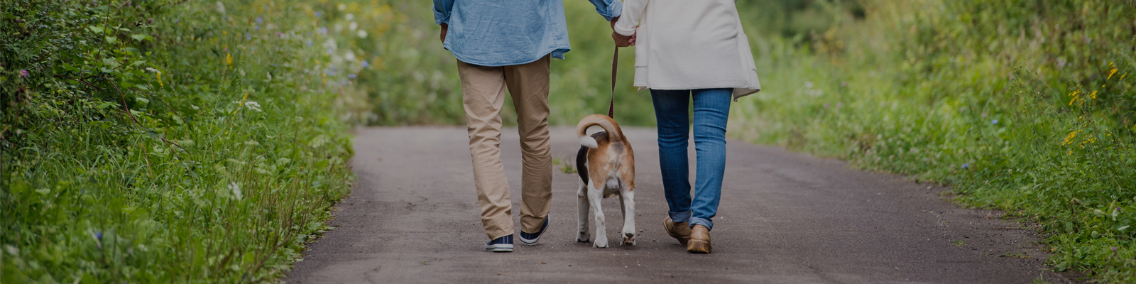 노인 + 반려동물 복합 서비스