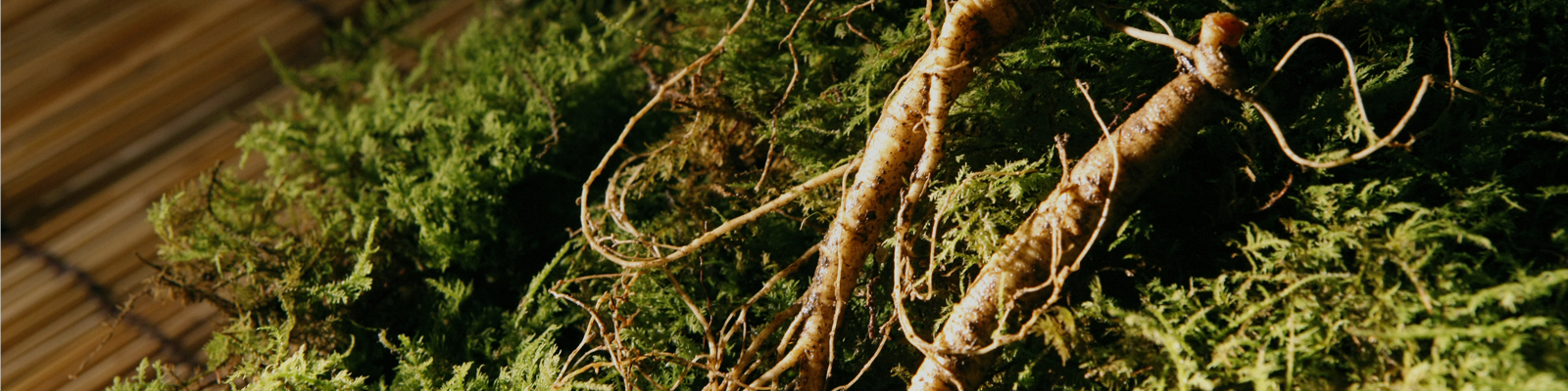 전국 지역별 특산물 및 특화상품 발굴 및 유통