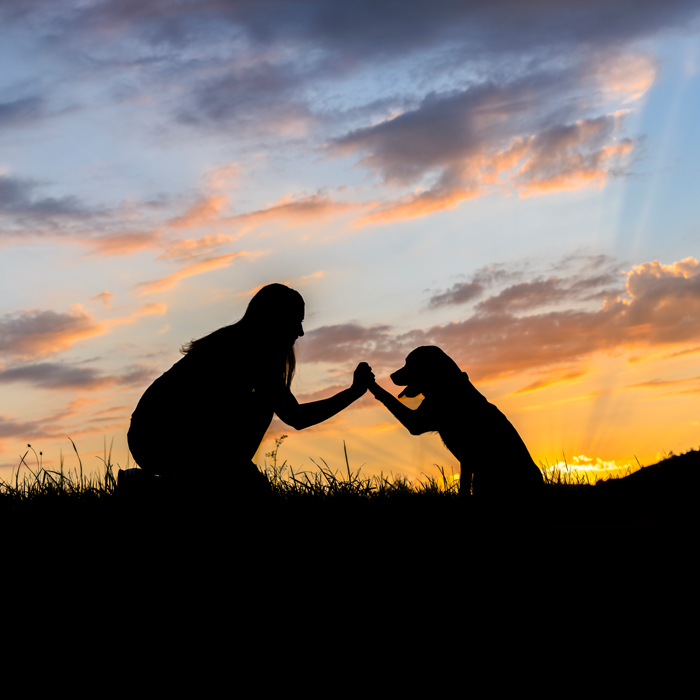비전, 미션, 핵심가치